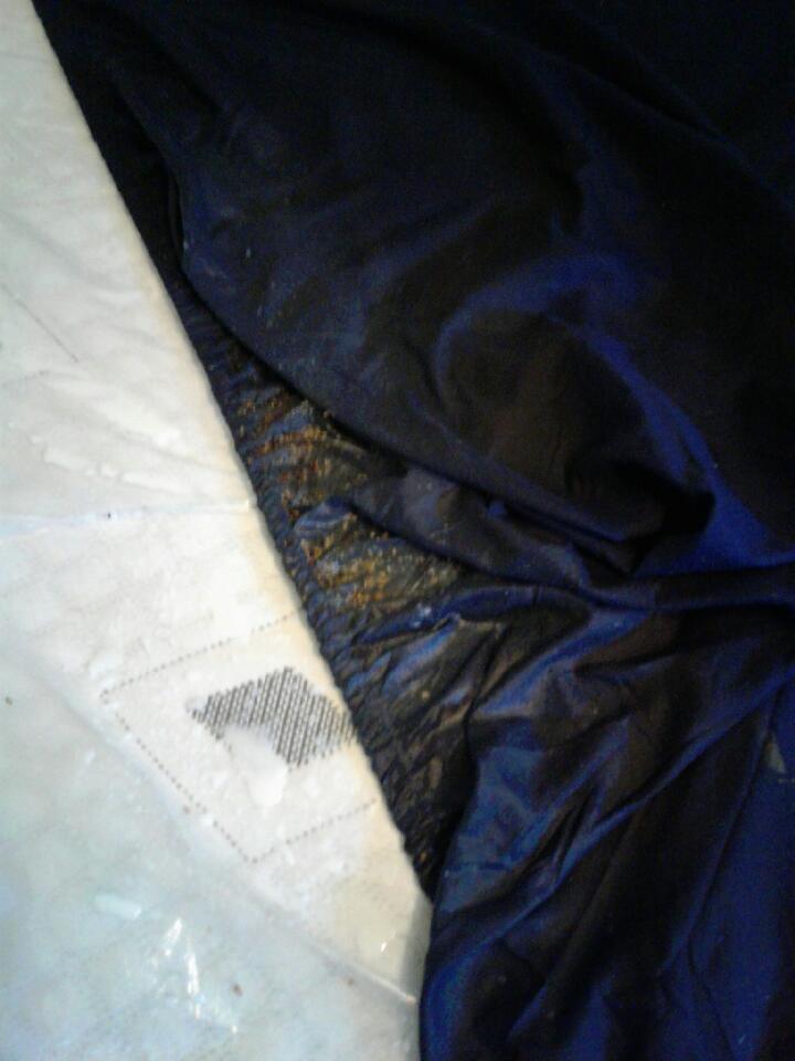 Bed bug droppings found in sheets of bed