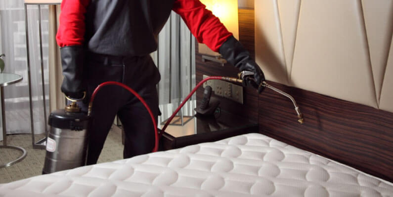 Treating a mattress for bed bugs